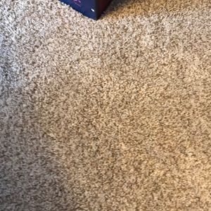 Meet your Posher, Sandi